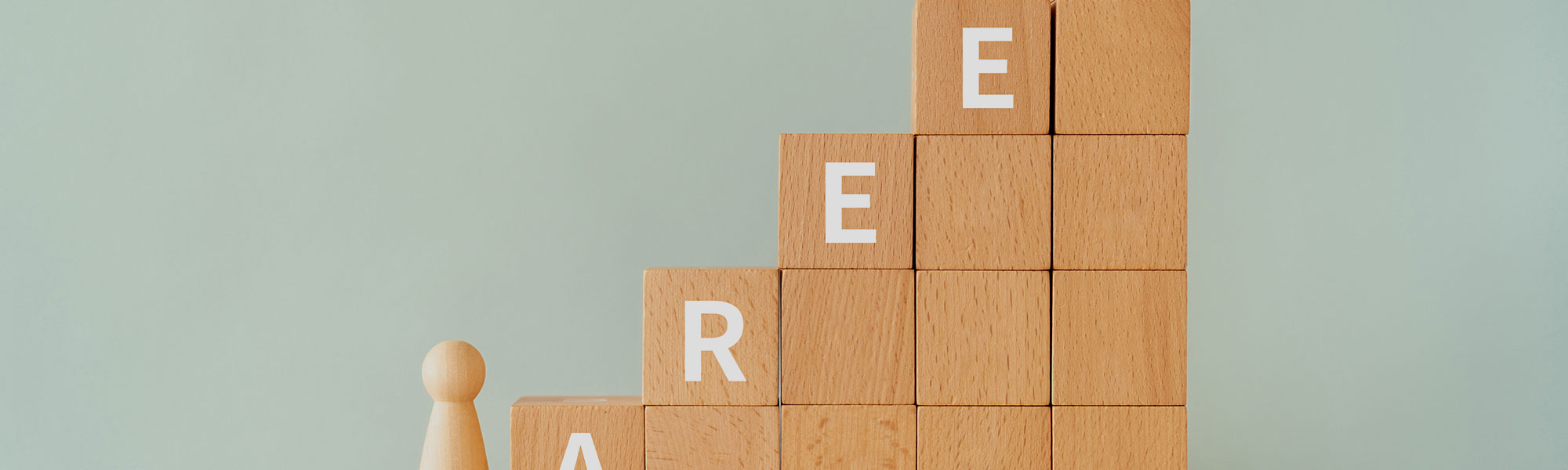 キャリアプラン